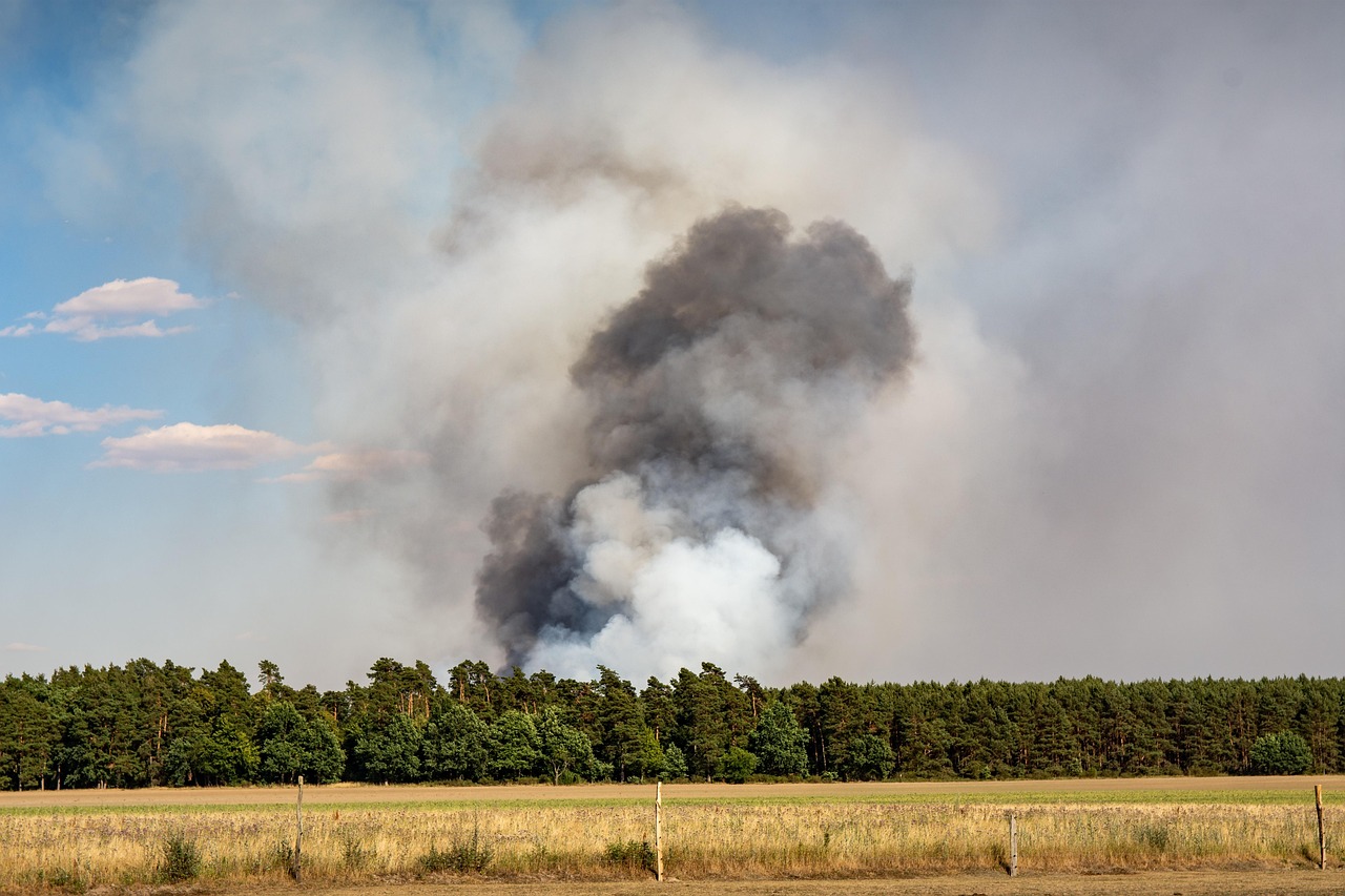 Bosbrand Mierlo: 2500 m² natuur verwoest door brand
