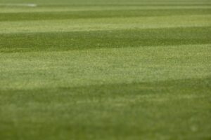 PSV winterweer Philips Stadion: duel eredivisie kan doorgaan