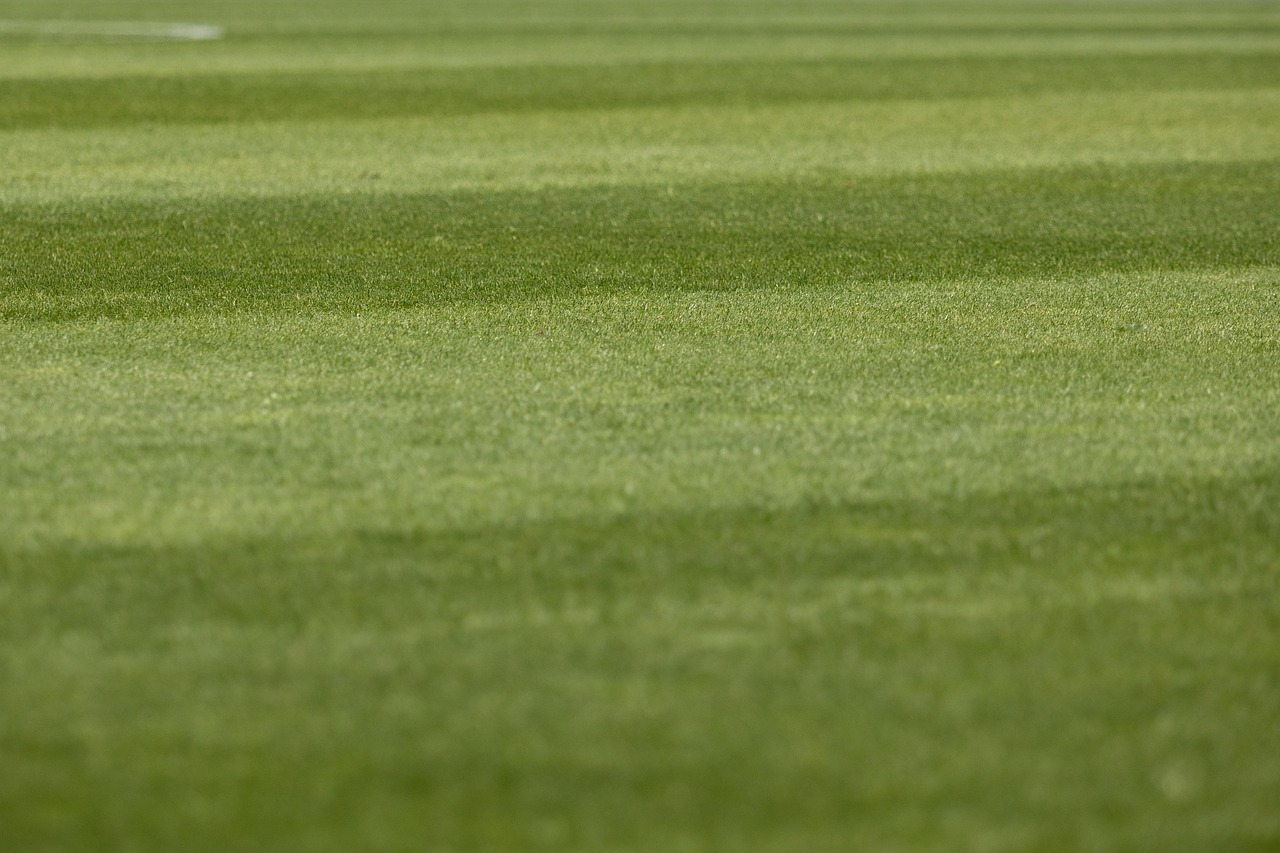 PSV winterweer Philips Stadion: duel eredivisie kan doorgaan